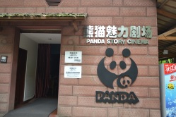 Le cinéma sur les pandas